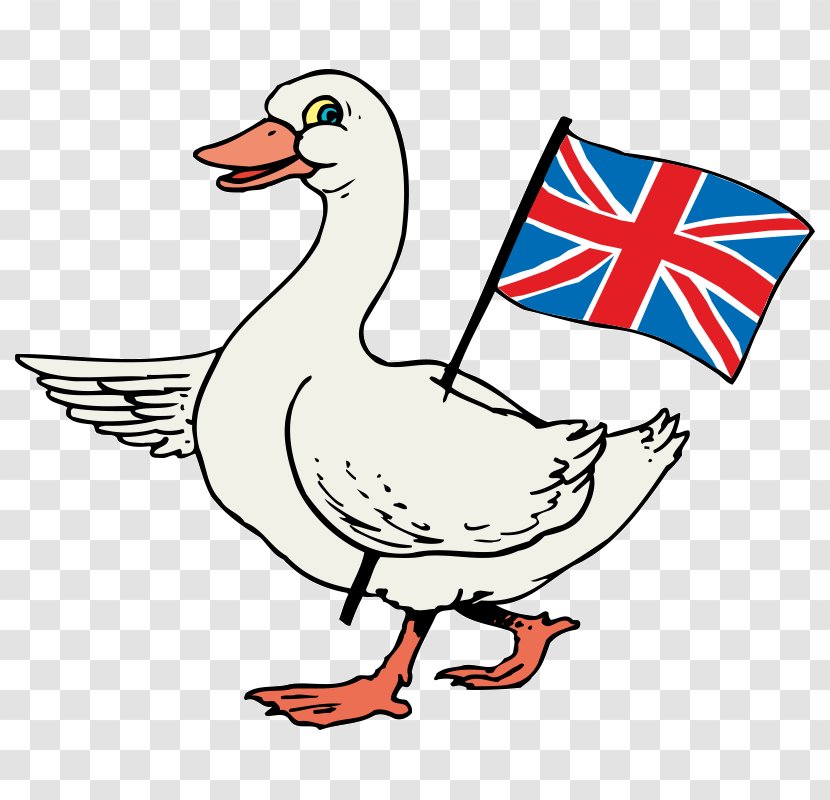 Canada Goose Bird Coloring Book Duck Transparent PNG