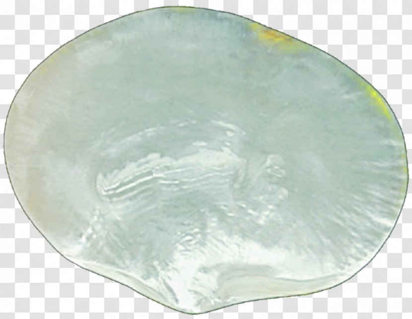 Nacre Pearl Glass Seashell - Dishware - Stock Photography Transparent PNG