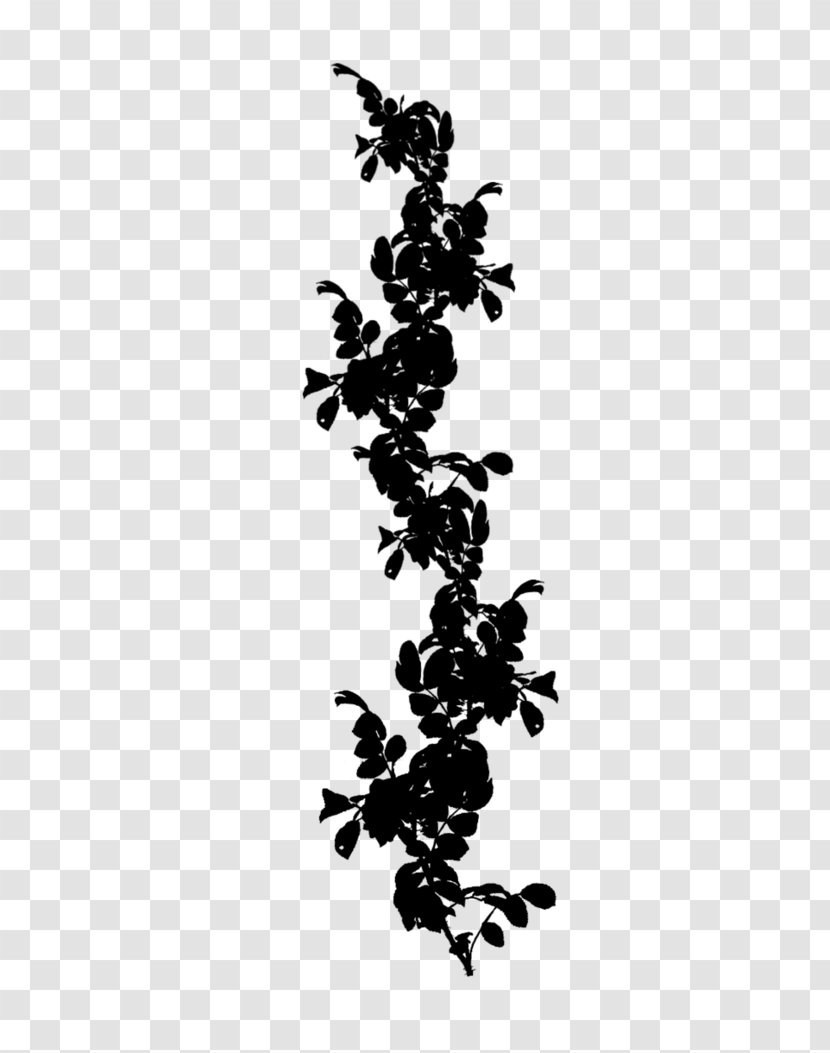 Grape Font Line Leaf Black M - Flower - Silhouette Transparent PNG