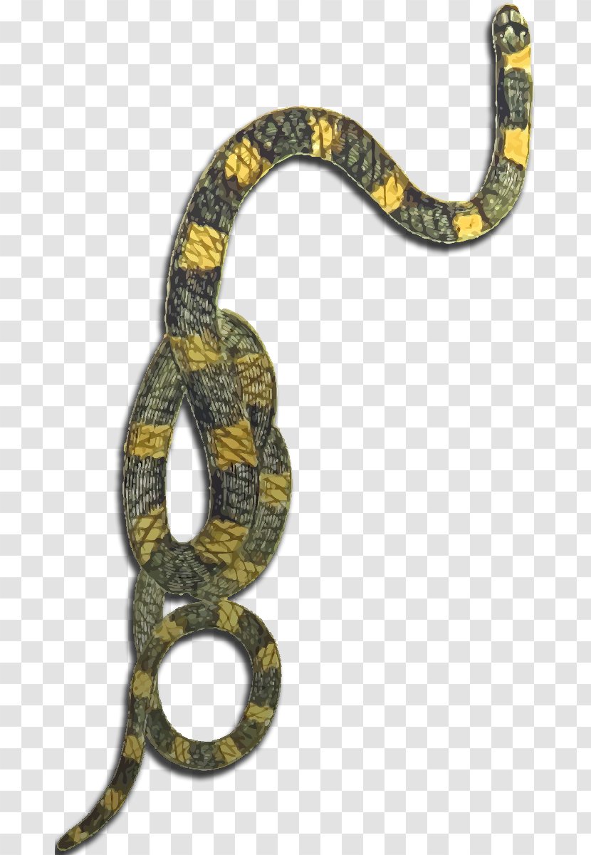 Boa Constrictor Kingsnakes Dungeons & Dragons Rattlesnake - Venomous Snake - Yellow And Black Flyer Transparent PNG