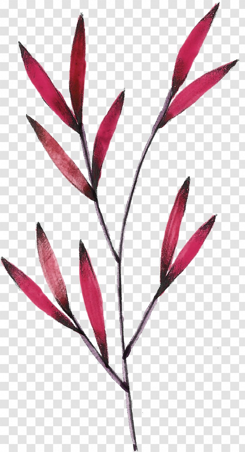 Leaf Red - Branch - Leaves Transparent PNG