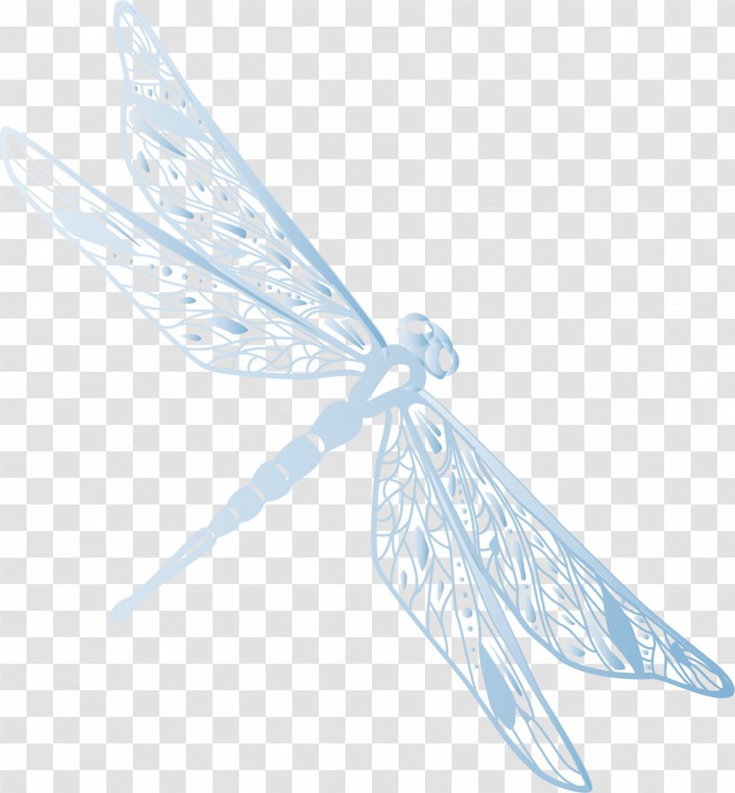 Euclidean Vector Dragonfly - Moths And Butterflies - Painted Transparent PNG