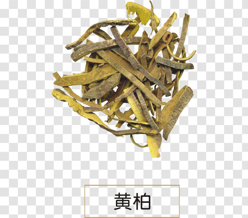 Phellodendron Amurense Chinense Dietary Supplement Huáng Bǎi Extract - Heart - Treats Transparent PNG