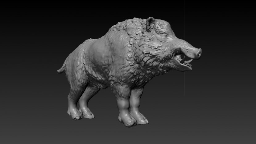 Domestic Pig Lion Black And White Monochrome Photography - Boar Transparent PNG