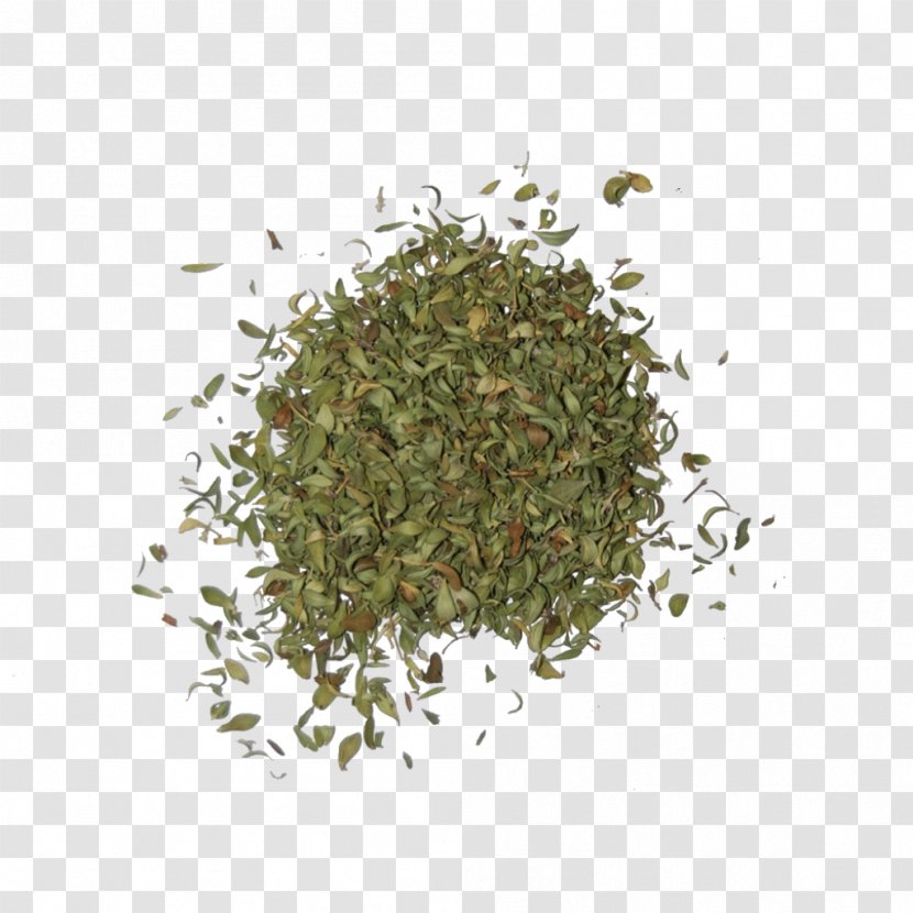Tea Gyokuro Bancha Thymus Citriodorus Shincha - Herbs Transparent PNG