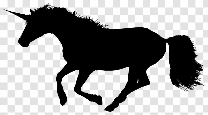 Canter And Gallop Thoroughbred Pony Unicorn Transparent PNG