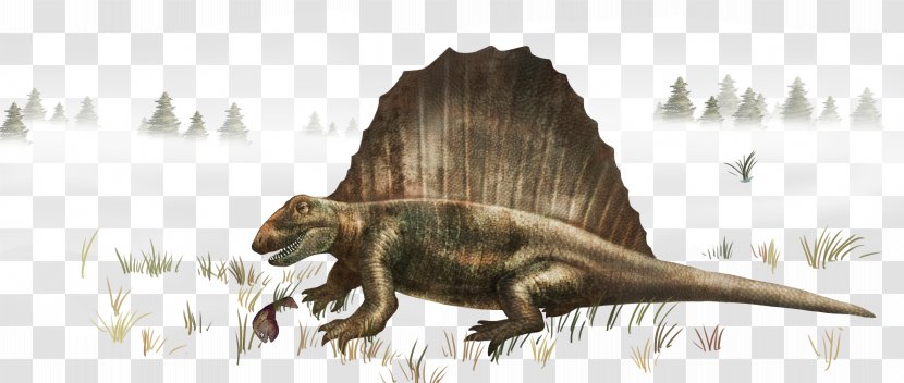 Ab Ovo Tyrannosaurus Stegosaurus Dinosaur Human Back - Forelimb Transparent PNG
