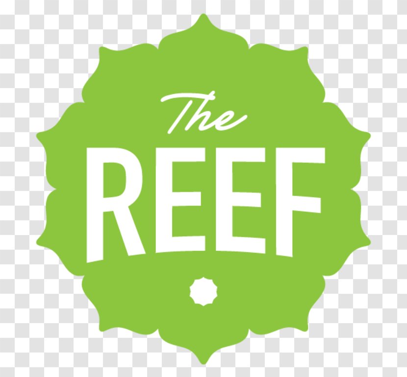 The Barkeep Reef Kushery Clearview Cannabis Shop Glee Club - Tree Transparent PNG