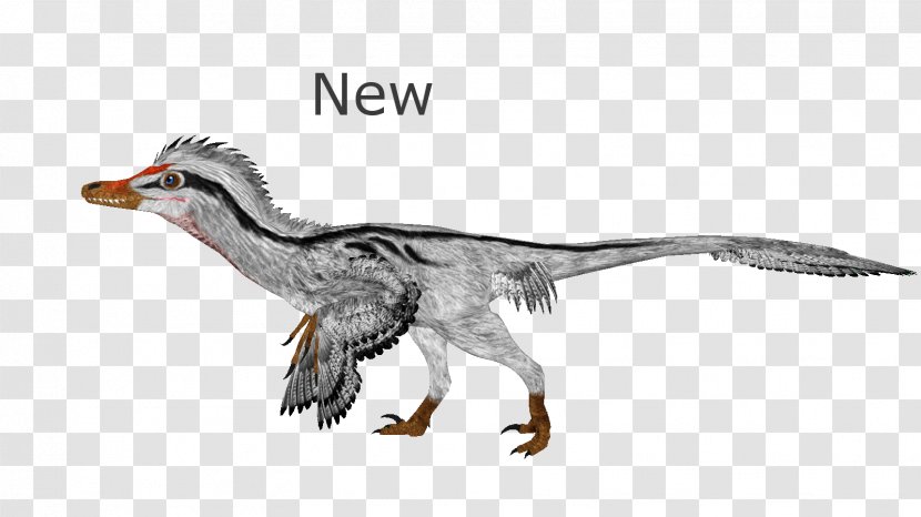 Duck Velociraptor Zoo Tycoon 2: Extinct Animals Deinonychus Tyrannosaurus - Organism Transparent PNG