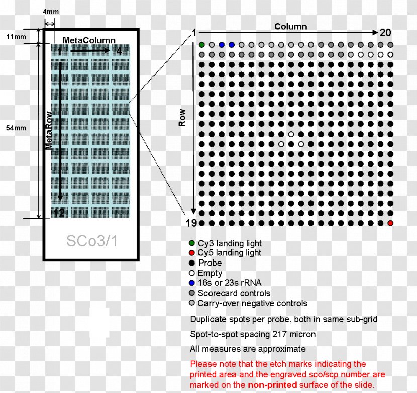 Line Point Brand Font - Area Transparent PNG