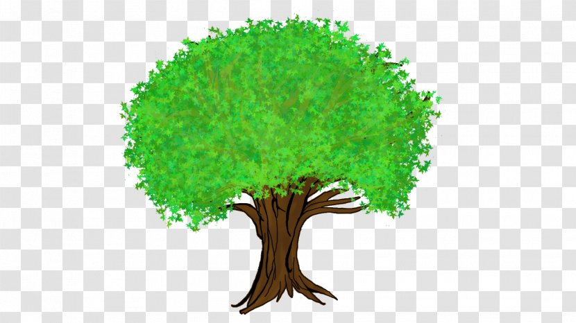 Tree Cartoon Forest - Comics - Family Transparent PNG