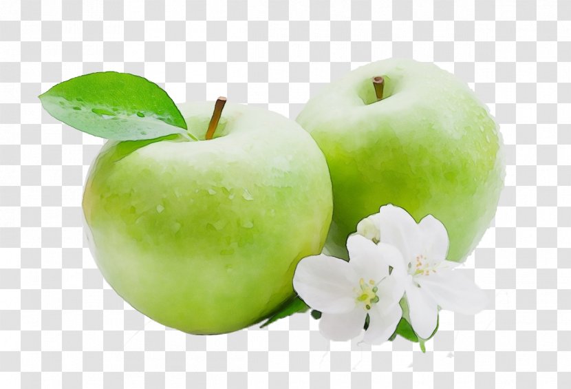 Granny Smith Apple Fruit Plant Food - Flower Malus Transparent PNG