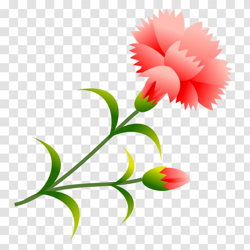 Carnation School Summer Vacation Flower Plant Stem - Cgi Transparent PNG