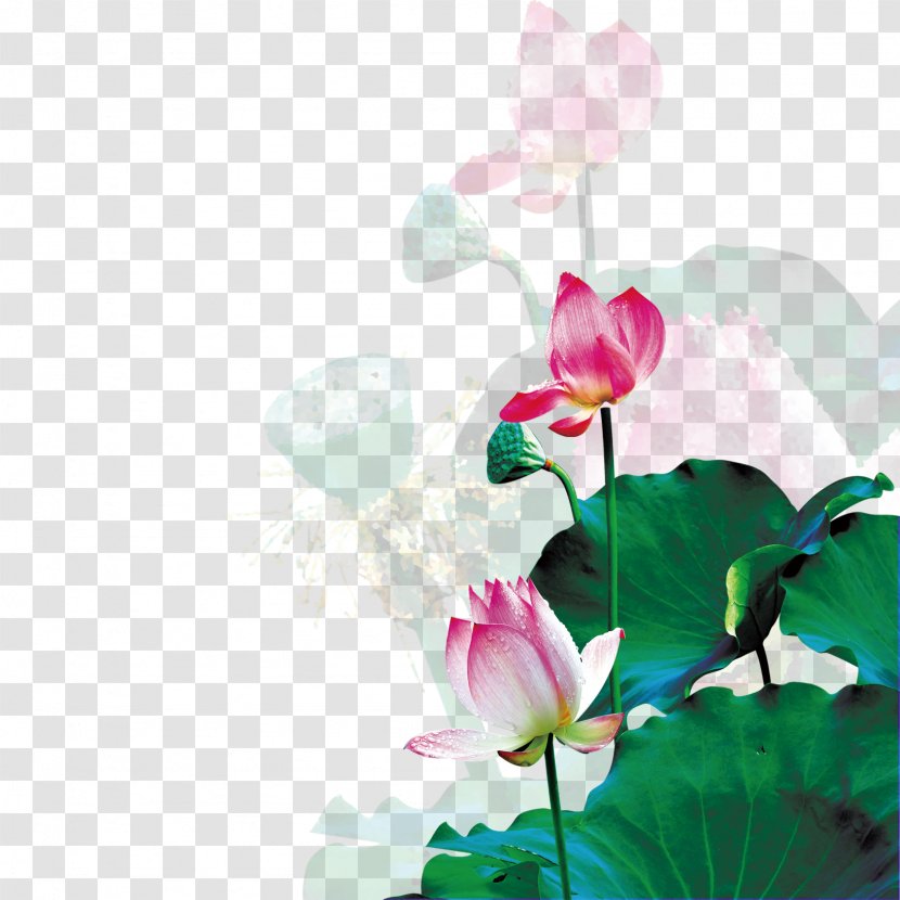 Mid-Autumn Festival - Flower Arranging - Mid-lotus Transparent PNG