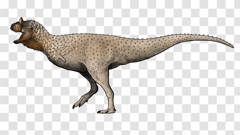 Tyrannosaurus Coelophysis Velociraptor Prehistoric Kingdom Dinosaur - Ceratopsia Transparent PNG