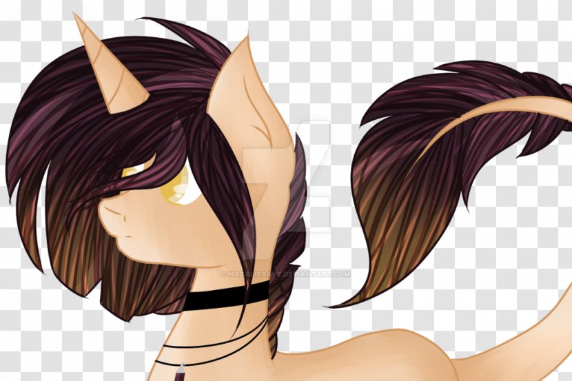 Long Hair Horse Coloring Black - Frame Transparent PNG