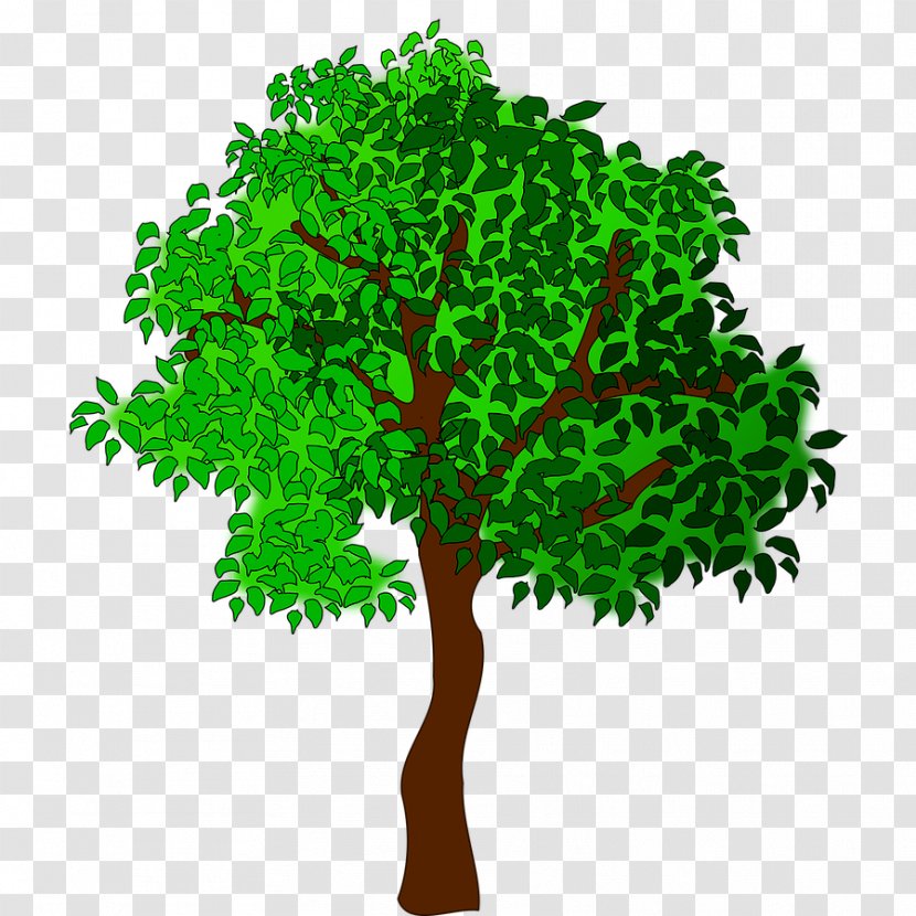 Summer Tree Clip Art - Organism - Trees Transparent PNG