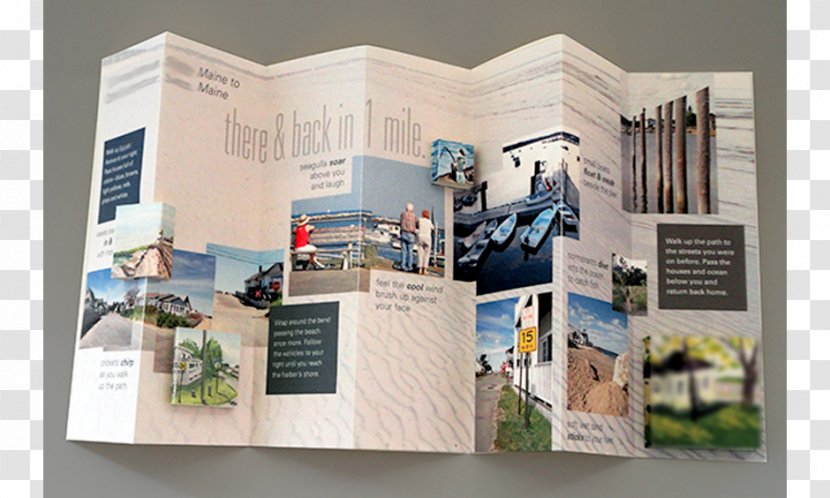 Brand Brochure - Advertising - Package Design Transparent PNG