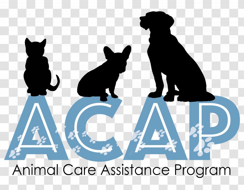 Cat Dog Human Behavior Logo Canidae - Brand Transparent PNG