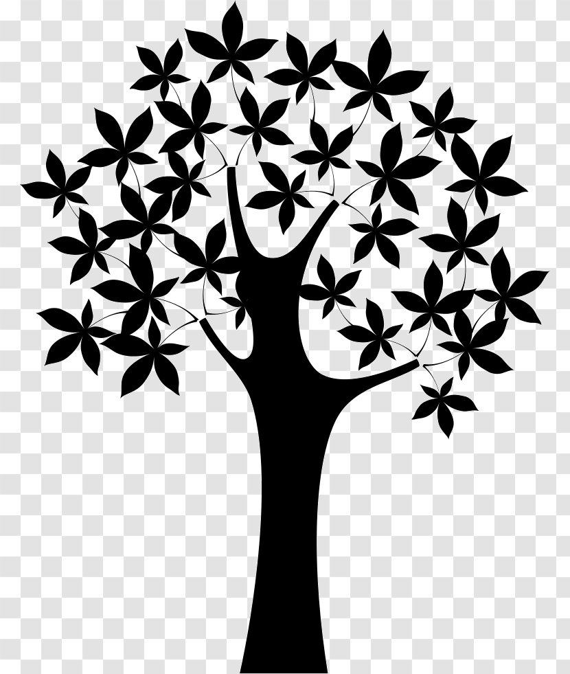 Twig Dreesmann Tree PeekYou Oak - Visual Arts - Birds Transparent PNG