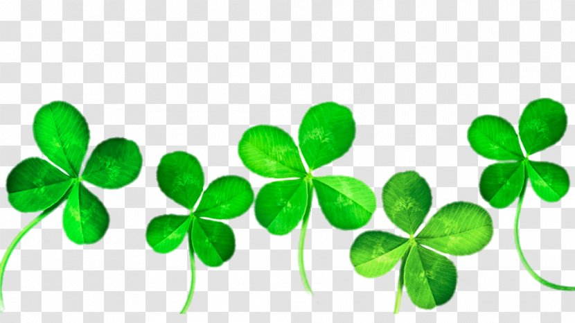 Four-leaf Clover Clip Art - Stock Photography - Side By Transparent PNG