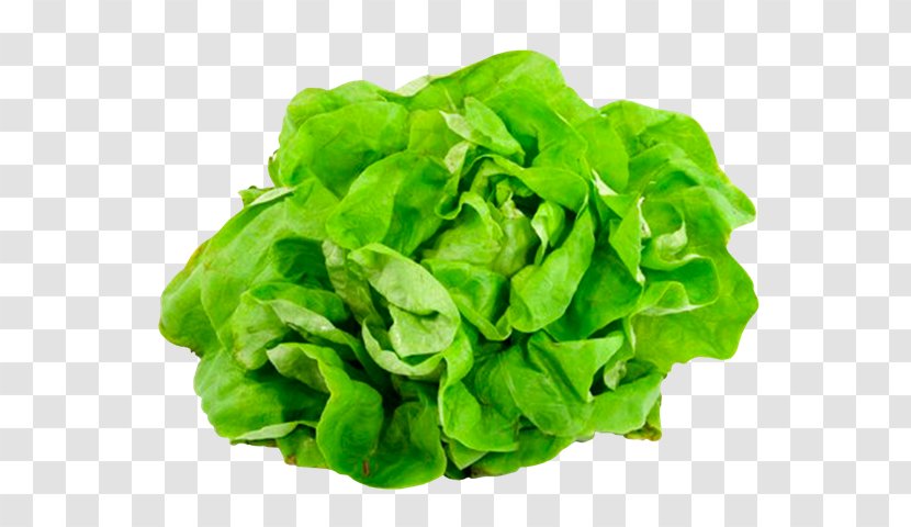 Vegetable Lettuce Mineral Food Vegetarian Cuisine - Vegetal Transparent PNG
