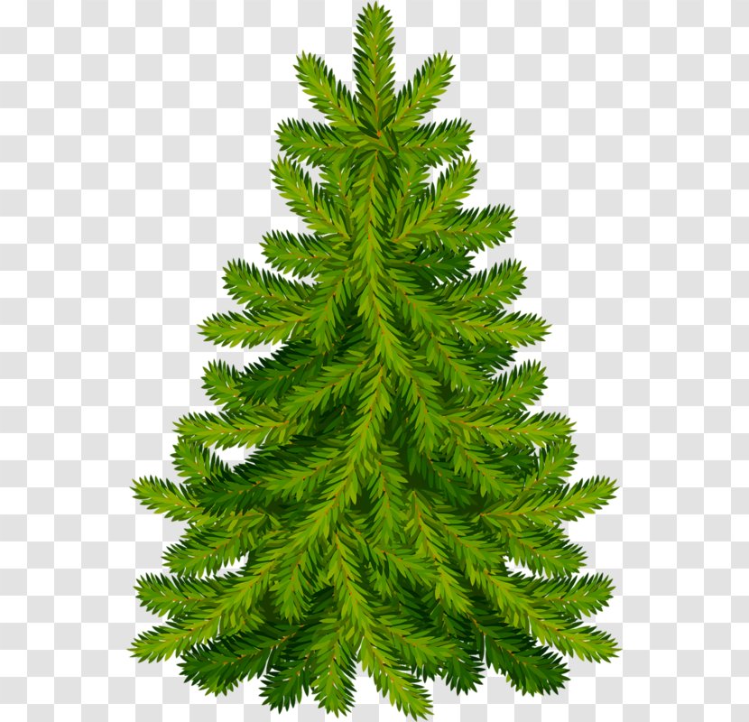 Christmas Tree Fir Pine - Norway Spruce Transparent PNG