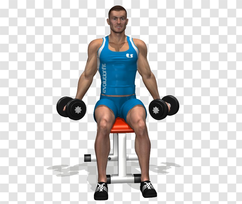 Weight Training Barbell Biceps Curl Dumbbell - Silhouette Transparent PNG