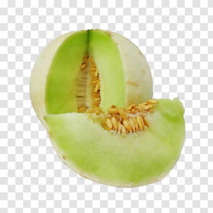 Muskmelon Honeydew Galia Fruit Plant - Cantaloupe - Cucumis Transparent PNG