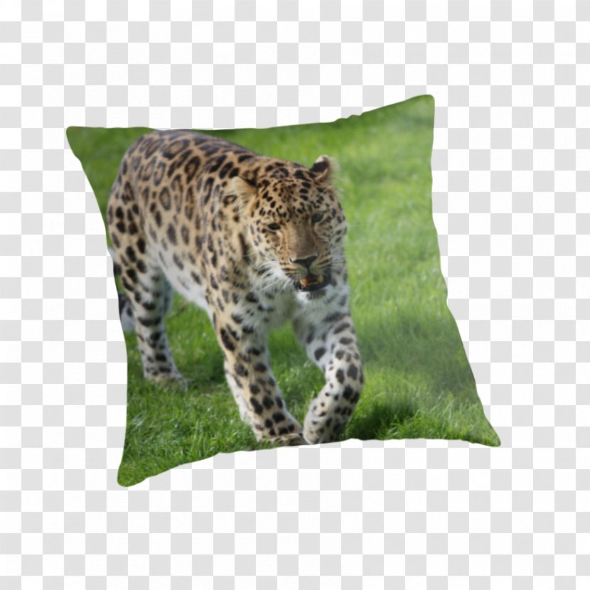 Leopard Jaguar Cheetah Throw Pillows - Wildlife Transparent PNG