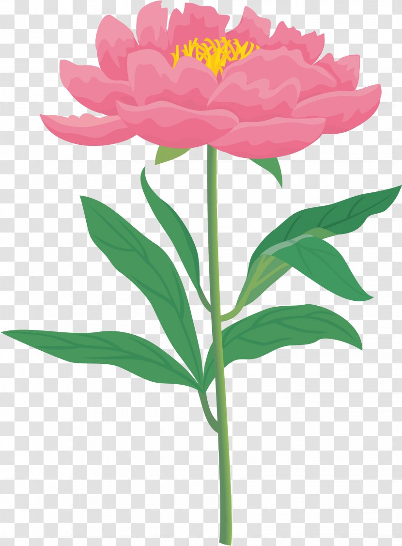 Chinese Peony Rose Clip Art - Flower Transparent PNG