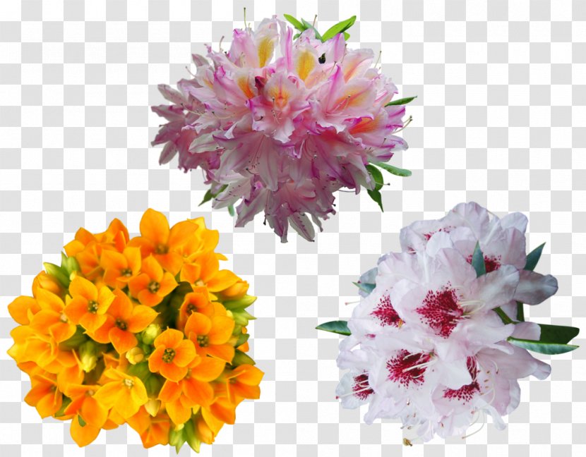 Shrub Cut Flowers Image - Flowering Plant - Flower Transparent PNG