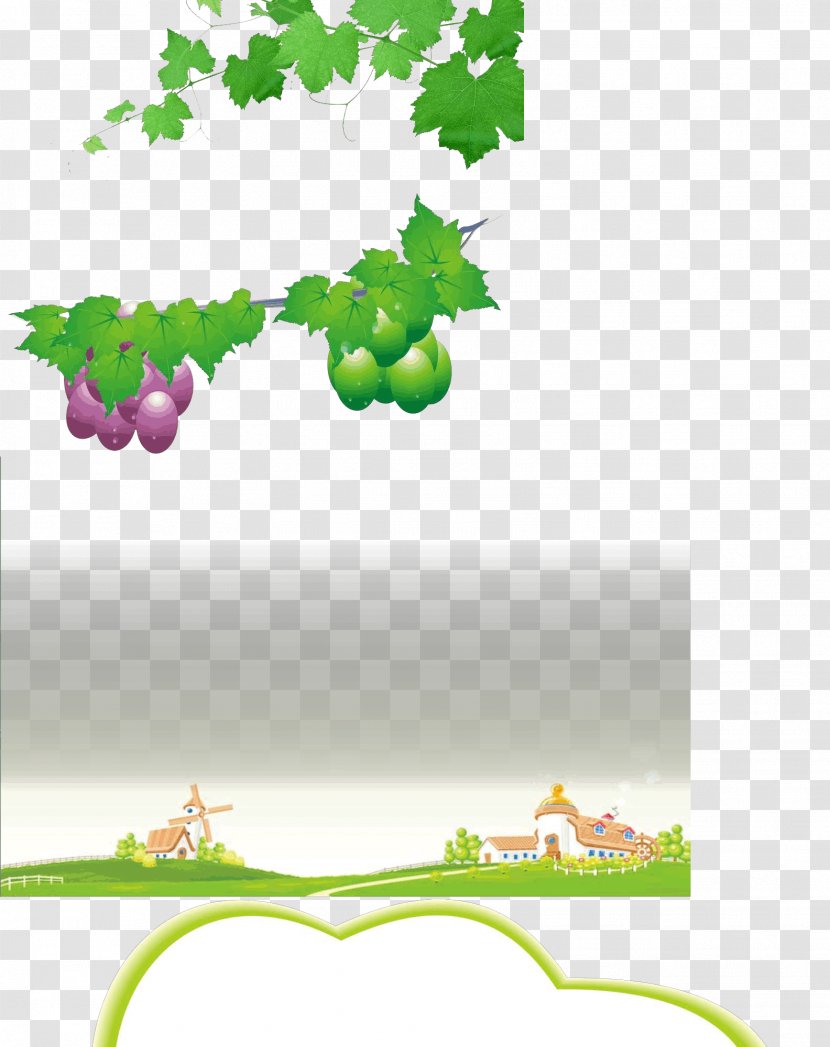 Grape Image Cartoon Clip Art - Plant - Aim Transparent PNG