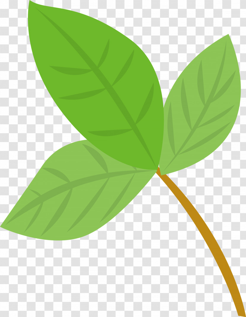 Leaf Green Plant Flower Anthurium Transparent PNG