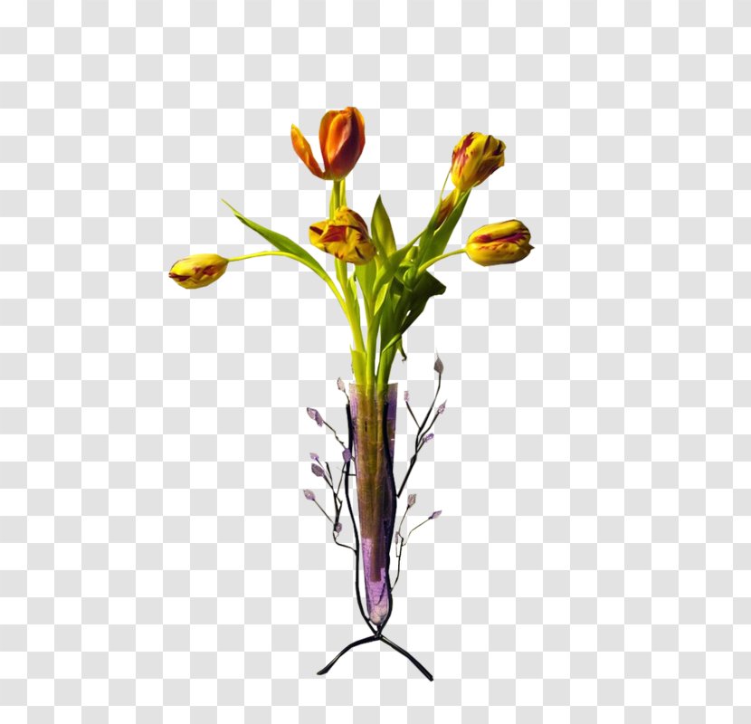 Vase Art - Plant Transparent PNG