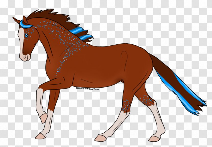 Mane Colt Foal Stallion Pony - Mustang Transparent PNG