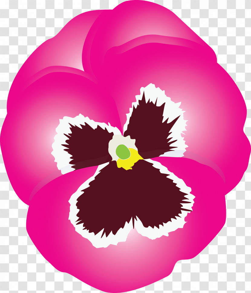 PANSY Spring Flower Transparent PNG