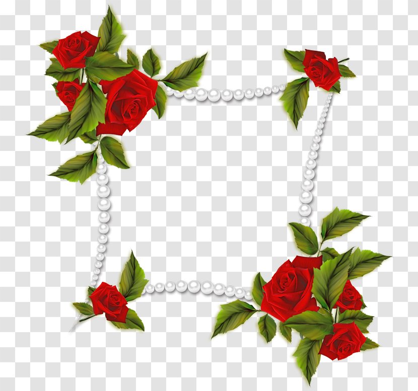 Holly Christmas - Flower - Flowering Plant Anthurium Transparent PNG