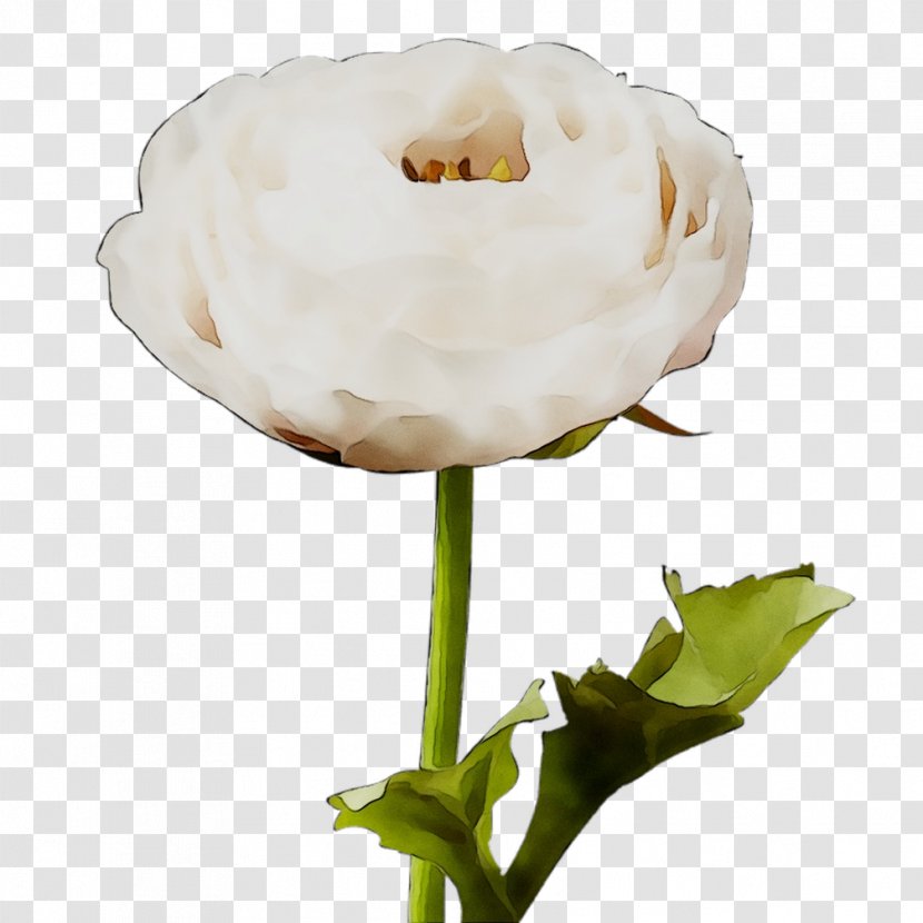 Plant Stem Cut Flowers Plants - Wildflower Transparent PNG