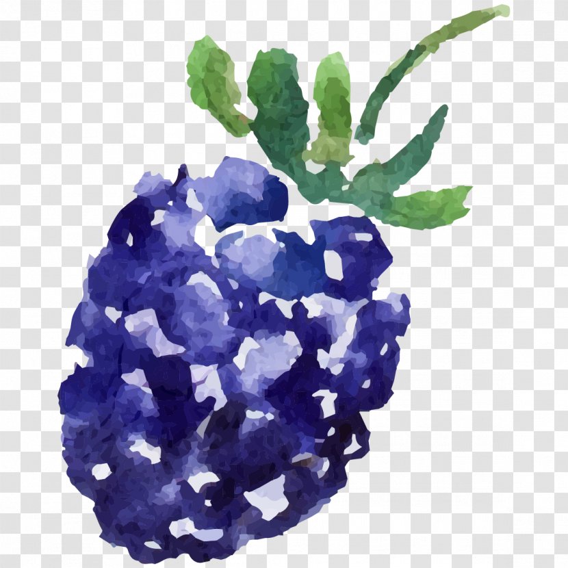 Mulberry Image Fruit - Cobalt Blue Transparent PNG