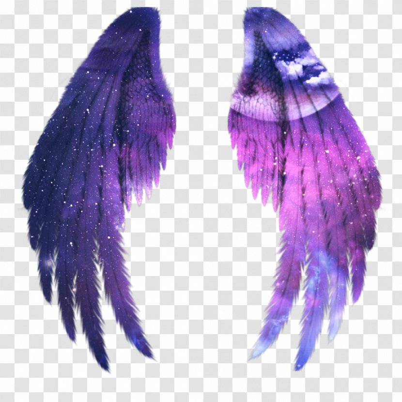 Cherub Angel Clip Art Drawing - Violet - Wings Picsart Transparent PNG