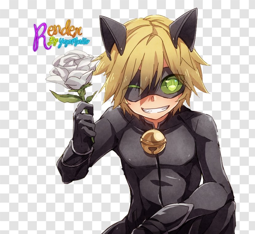 Adrien Agreste Black Cat Kitten Online Chat - Frame Transparent PNG