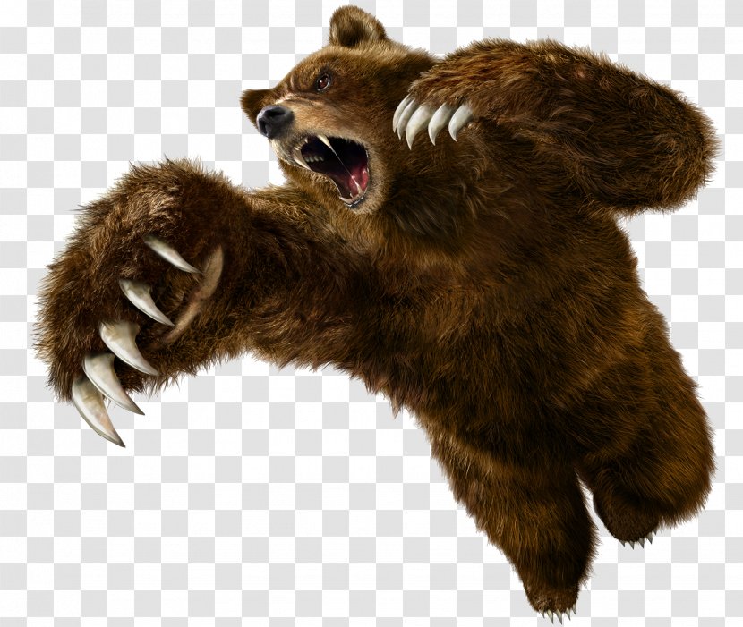 Tekken 5 6: Bloodline Rebellion Angry Bear - Attack Transparent PNG