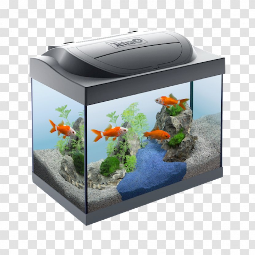 Aquarium Tetra Goldfish Light-emitting Diode Pet - Lighting - Hydroponics Transparent PNG