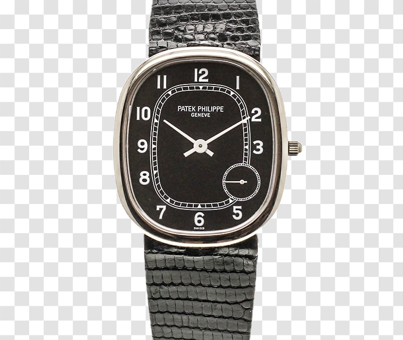 Silver Watch Strap - Patek Philippe Co Transparent PNG