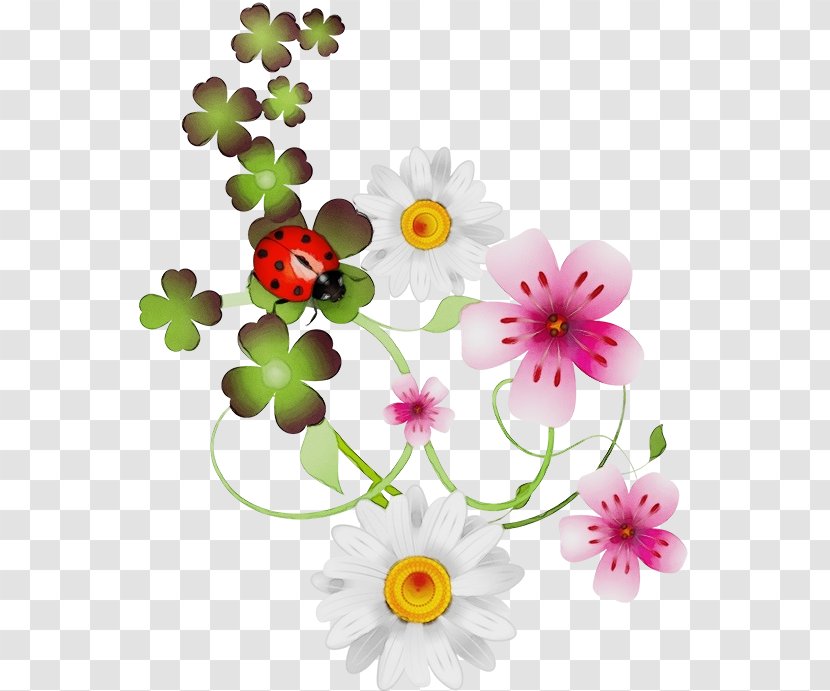 Flowers Background - Floral Design - Floristry Daisy Family Transparent PNG
