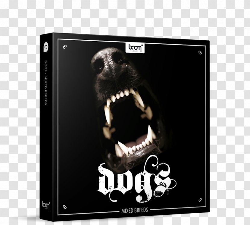 Dog Sound Effect Coyote Sample Library - Gray Wolf Transparent PNG