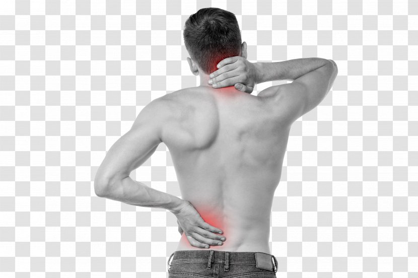 Low Back Pain Sacroiliac Joint Dysfunction Human - Tree Transparent PNG