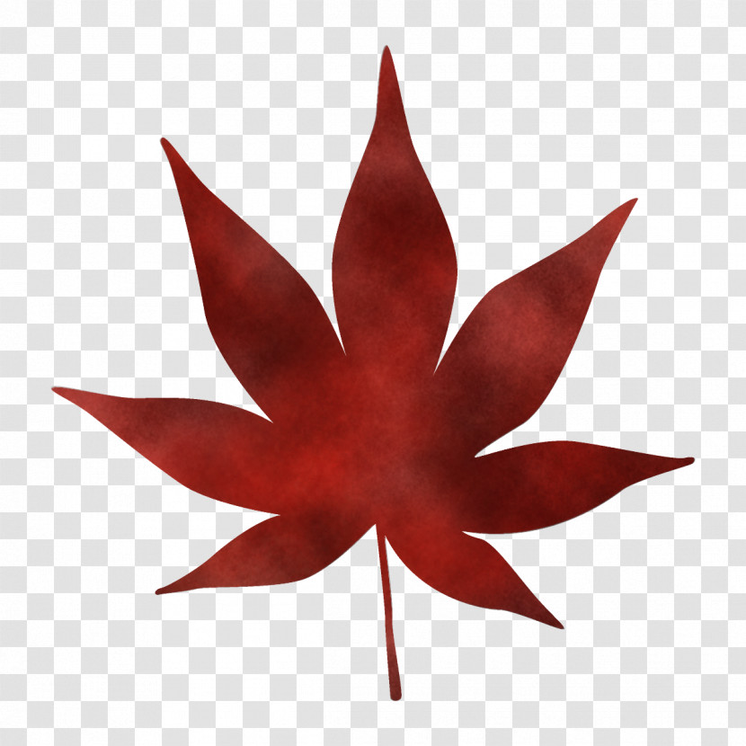 Maple Leaf Autumn Leaf Fall Leaf Transparent PNG