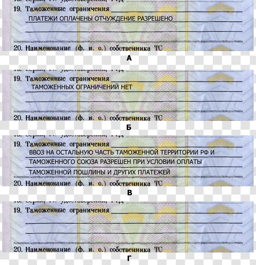 Car Vehicle Licence Passport Customs - Tree Transparent PNG